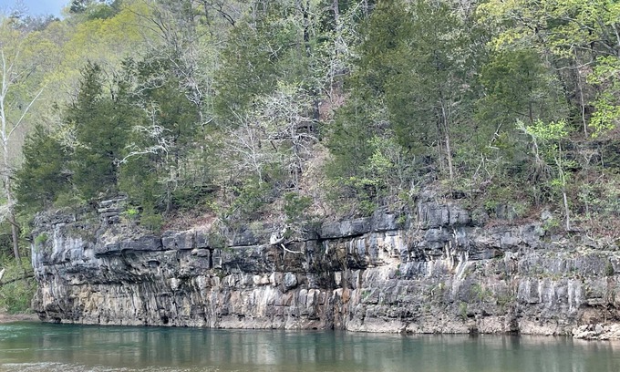 Teresita House | Your Relaxing Getaway Awaits! Pet-Friendly Cabins, Free Parking