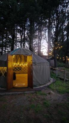 Haverfordwest Other | Yurt Pitch - TY GRUG RETREAT