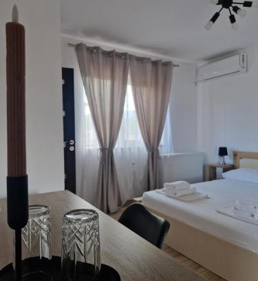 Talmaciu Hotel | Zen