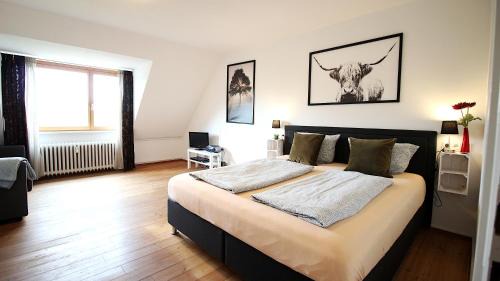 Wurzburg City Centre Apartment | Zentrale Stadtwohnung - direkt am Main, Park-Ausblick