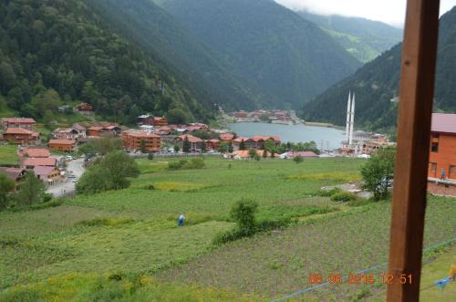 Uzungol Apartment | Zeren Pansiyon