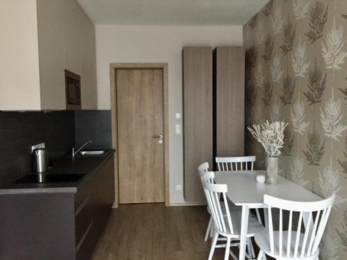 Dolni Morava Apartment | Zlatý Apartmán