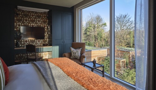Executive Room, 1 King Bed (King)