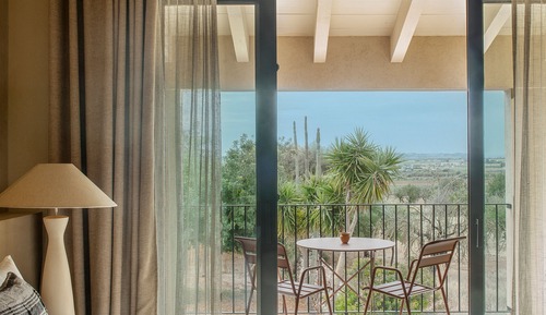 Superior Suite