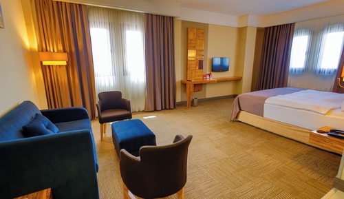 Deluxe Suite, Non Smoking (1 King Bed, 1 Single Bed)