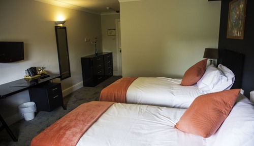 Standard Twin Room