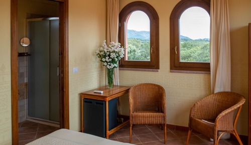 Deluxe Double or Twin Room, Tower