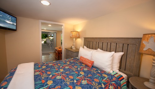 Coral Reef Suite