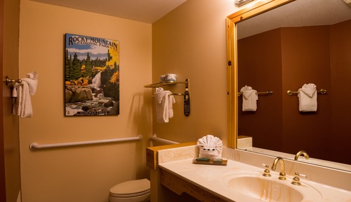 Studio, 1 King Bed, Mountain View
