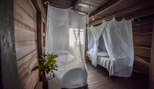 Standard Room, 2 Twin Beds