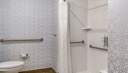 Room, 1 King Bed, Accessible (Mobility & Hearing, Roll-In Shower)