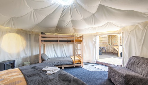 Deluxe Tent, Pets Allowed, Park View