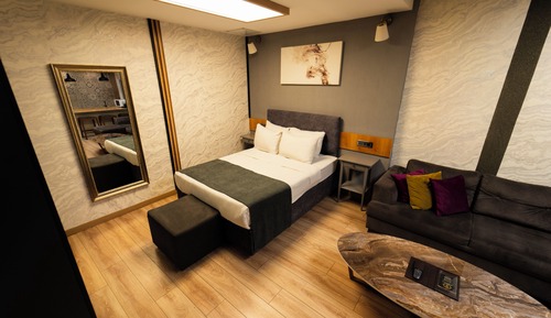 Economy Room, 1 Queen Bed with Sofa bed
