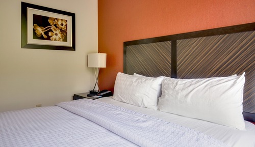Suite, Accessible, Bathtub