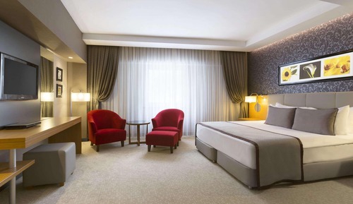 Superior Room, 1 King Bed, Smoking