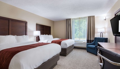 Standard Room, 2 Double Beds, Non Smoking