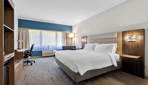 Standard Room, 1 King Bed, Roll-in Shower (Mobility)