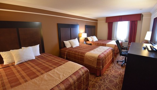 Room, Non Smoking, Refrigerator & Microwave