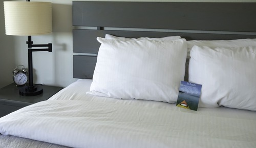Standard Studio, 1 Queen Bed, Refrigerator & Microwave, Lake View