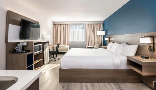 Room, 1 King Bed, Non Smoking (Efficiency, Upgrade)