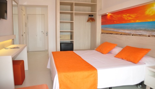 Basic Single Room