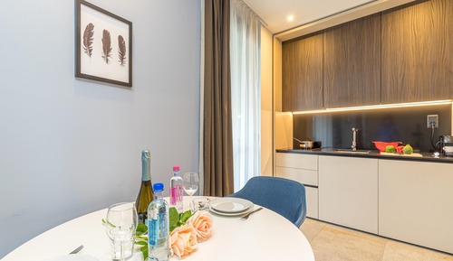 Family Studio (ICON H Lugano 309 Suite Micro-Living)