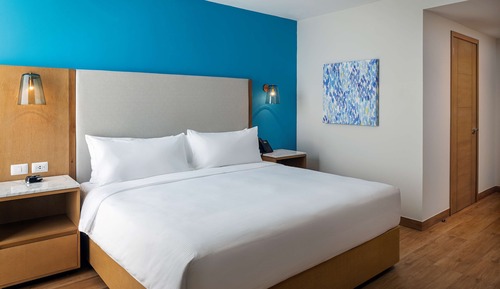 Room, 1 King Bed, Accessible (Mobility & Hearing, Roll-In Shower)