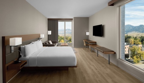 Room, 1 King Bed, Non Smoking, Mountain View