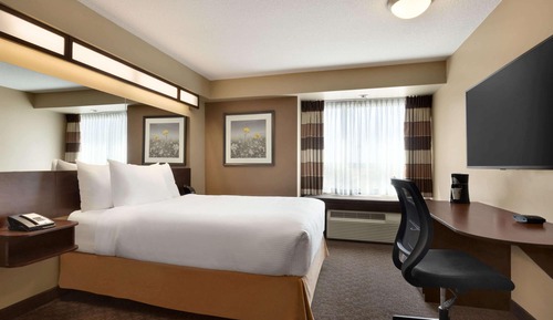 Room, 1 Queen Bed, Accessible, Non Smoking (Mobility, Roll-In Shower)