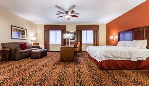 Suite, One King Bed