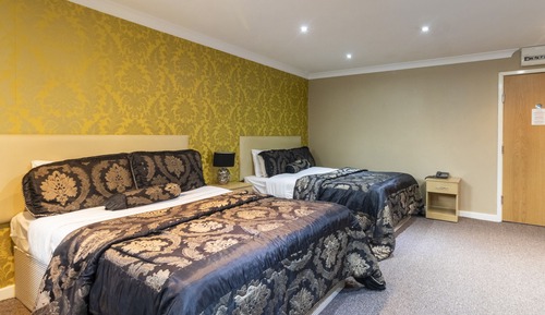 Standard Quadruple Room, 2 Double Beds