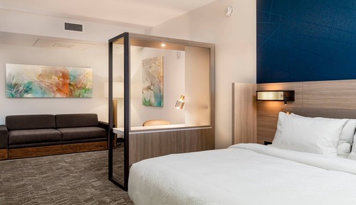 Suite, 1 King Bed with Sofa bed