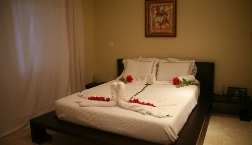 Studio, 1 Queen Bed