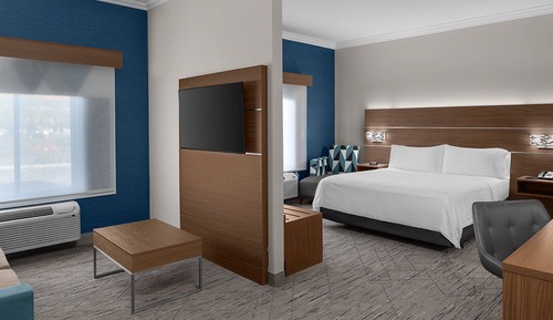 Suite, 1 King Bed, Accessible (Mobility, Roll-In Shower)