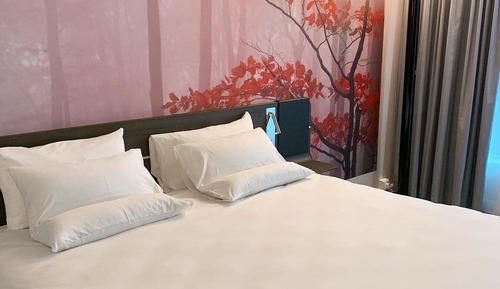 Superior Room, 1 Double Bed