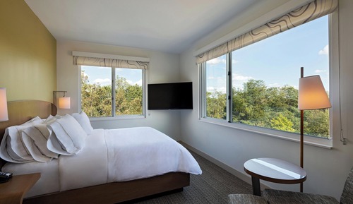 Executive Suite, 1 King Bed with Sofa bed (Mobility/Hearing Access, Roll-In Shwr)