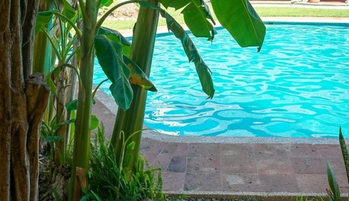 Queen Room with Pool front