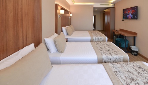 Business Triple Room