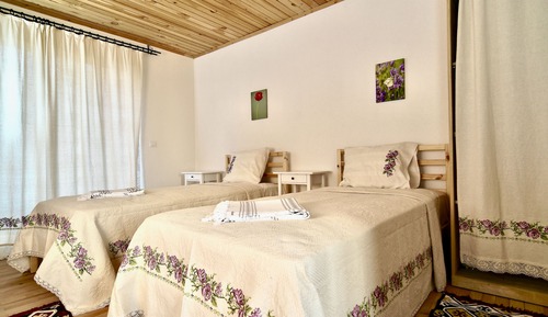 Classic Twin Room, Mountain View