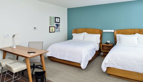 Suite, 1 Bedroom (Mobility/Hearing Access, Transf Shwr)
