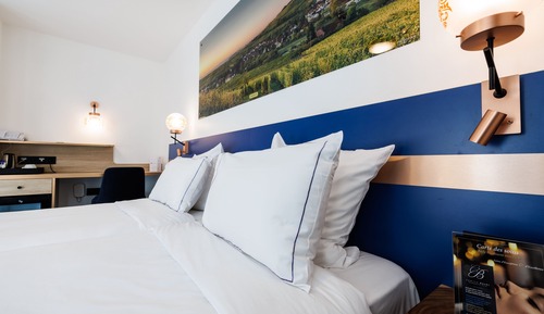 Double or Twin Room (prestige)