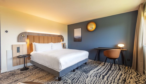Junior Suite, 1 King Bed, Lake View
