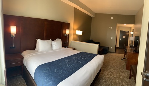Basic Single Room, 1 King Bed with Sofa bed, Non Smoking