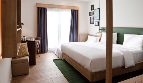 Room, 1 King Bed with Sofa bed