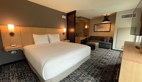 Room, 1 King Bed with Sofa bed (High Floor)