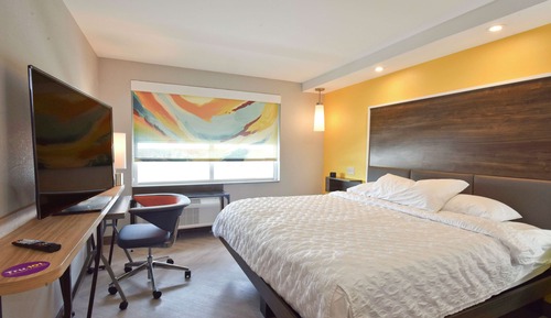 Room, 1 King Bed