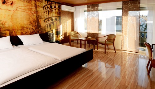 Business Double Room