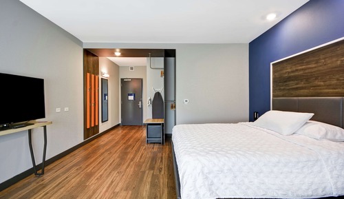 Room, 1 King Bed, Accessible (Roll-In Shower)