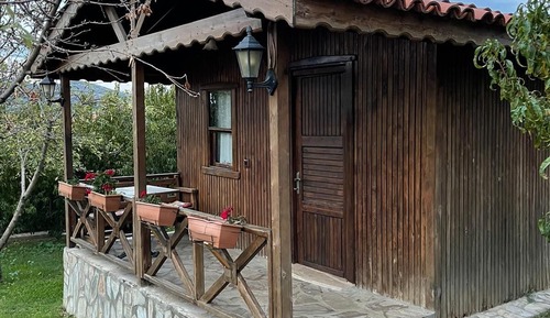 Classic Tree House