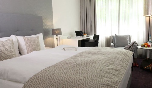 Superior Single Room, 1 King Bed